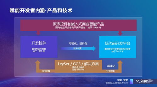 葡萄城發布新使命 賦能開發者，驅動業務創新