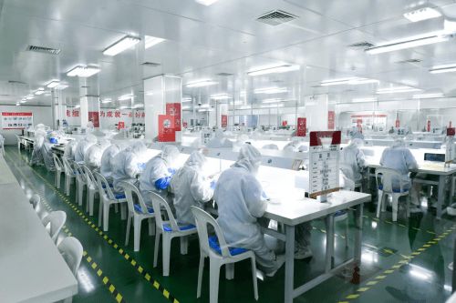 綠水青山就是金山銀山 燕之屋以技術創新驅動綠色可持續發展